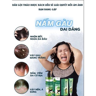 Dầu gội phủ bạc HAPUCO (chính hãng)