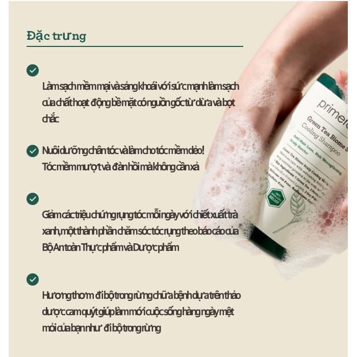 Gói sample dầu gội giảm rụng tóc và làm mát da đầu - PRIMERA Greentea Biome Scalp Cooling Shampoo 5ml