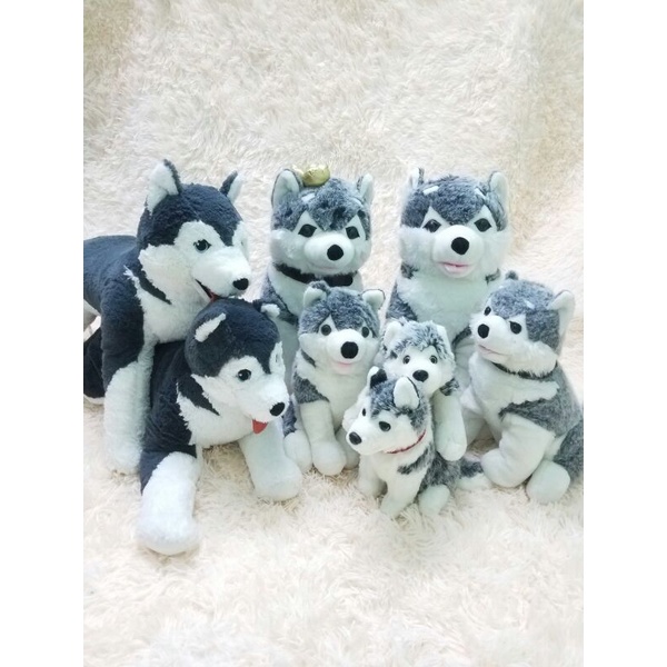Gấu bông con chó Husky Alaska giống thật