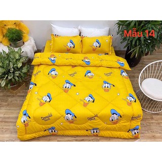 ga giường cotton