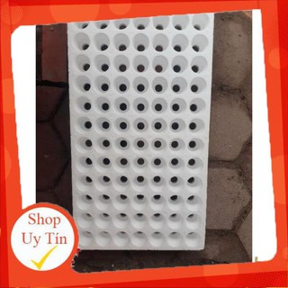Khay xốp ươm hạt 84- 112 lỗ