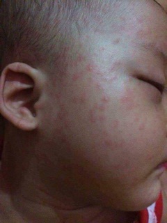 Lá tắm thảo mộc cho bé Thanh Mộc Nhi