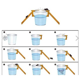 Bẫy chuột đơn giản dễ sử dụng