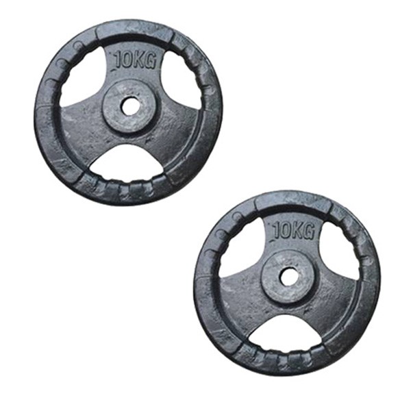 Bộ 2 bánh tạ gang 10kg cao cấp cao cấp Đại Nam Sport