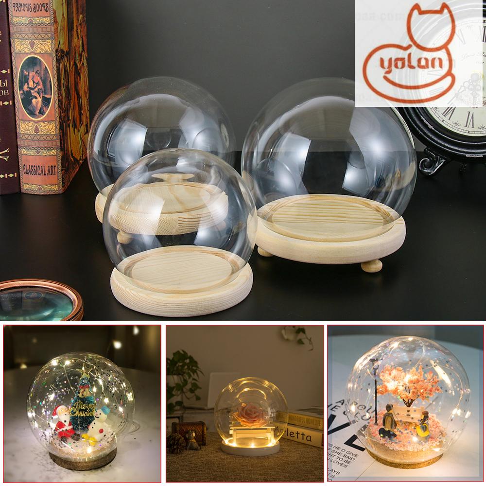 Hộp thủy tinh trong suốt kèm đế gỗ trưng bày trang trí cho nhà cửa