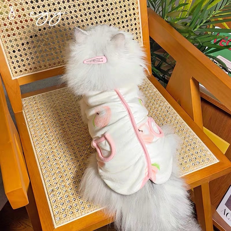 Áo cho chó mèo thu đông gile trái đào lông ấm áp BECHON