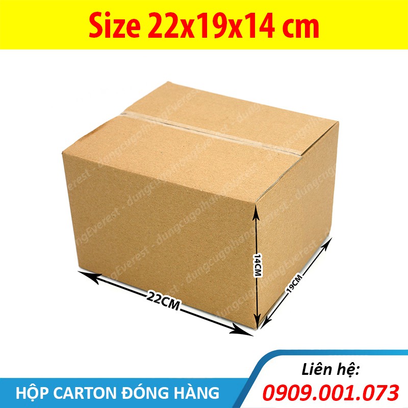 Hộp giấy P59 size 22x19x14 cm, thùng carton gói hàng Everest