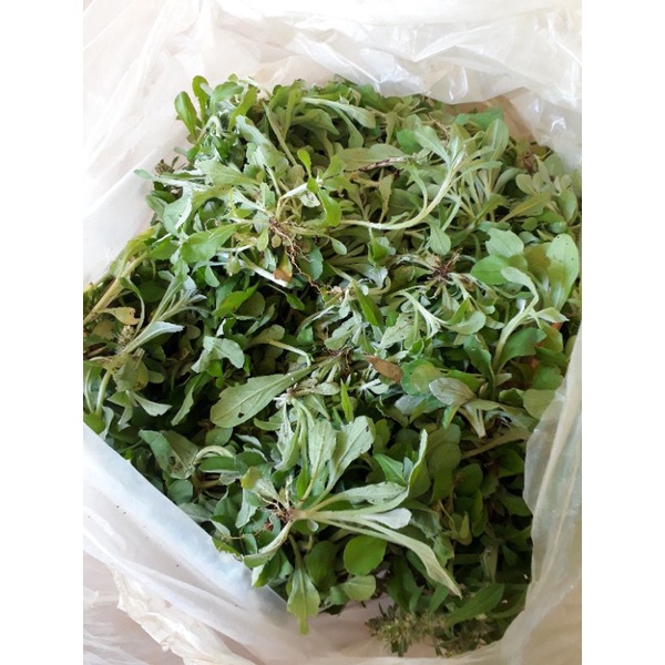 Rau khúc khô sạch 100g