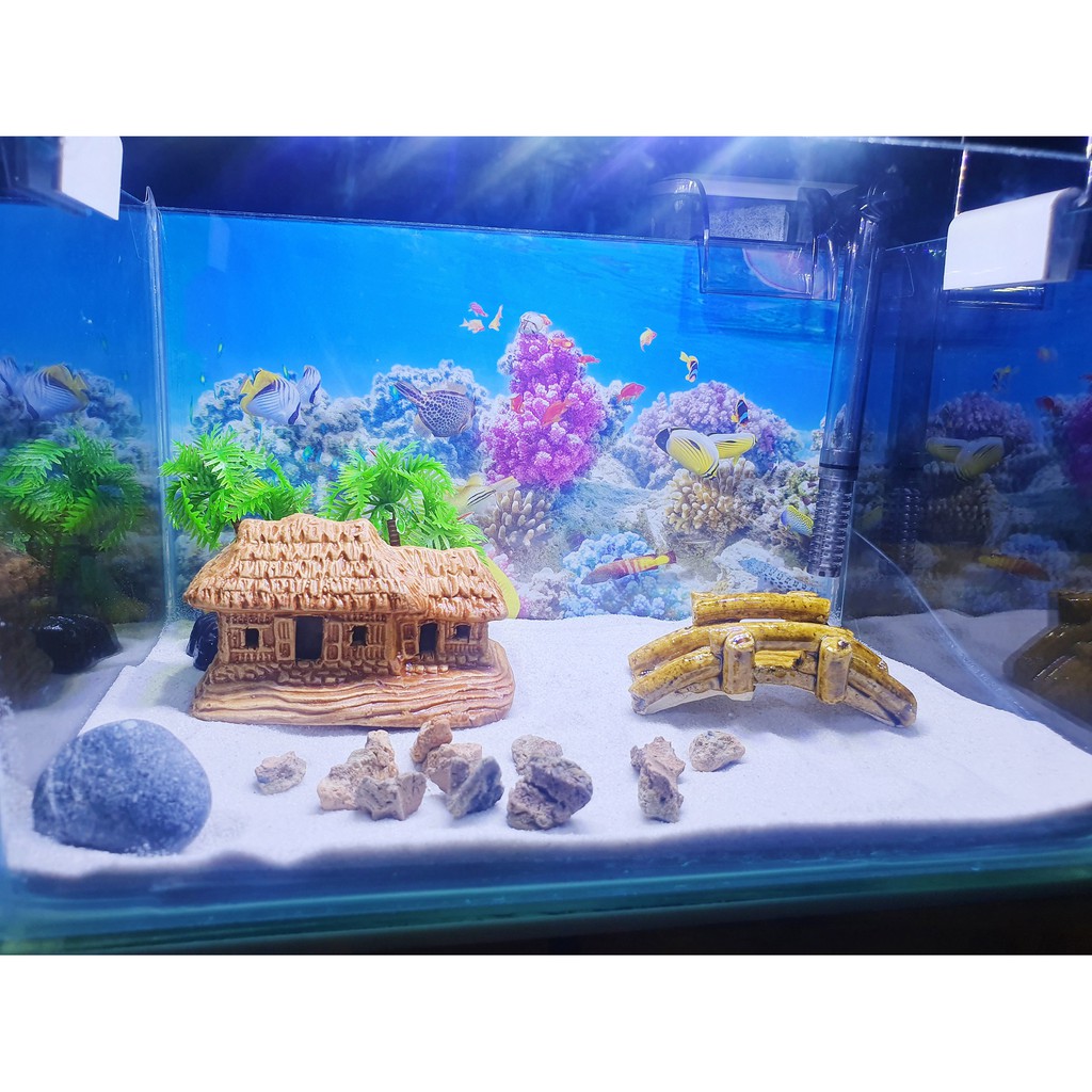 COMBO HỒ CÁ TRANG TRÍ SẴN 24X15X15CM 390KClick để phóng to  Bonsai Cá cảnh Nhật ToànChăm sóc thú cưngChăm sóc cá &amp; bể th