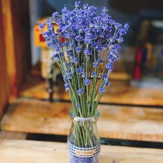 Lọ hoa Lavender Oải hương Pháp để bàn làm việc - cao 20cm