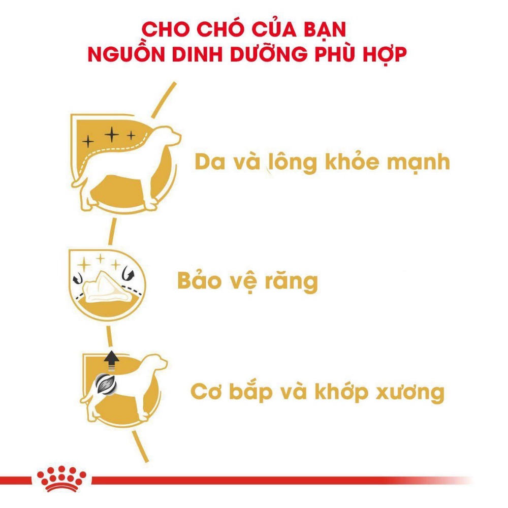 Thức ăn hạt Royal Canin Poodle Adult, túi 500g