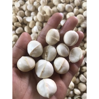 500g Hạt mắc ca Đăk Lăk nhà trồng