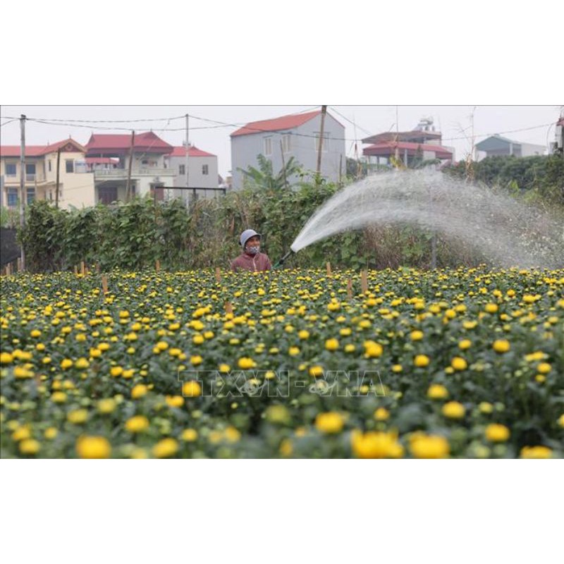 LOA TƯỚI VƯỜN LOẠI TỐT ĐỦ CỠ , TO NHỎ ( THÉP KO RỈ )