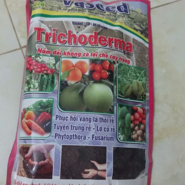 Trichoderma