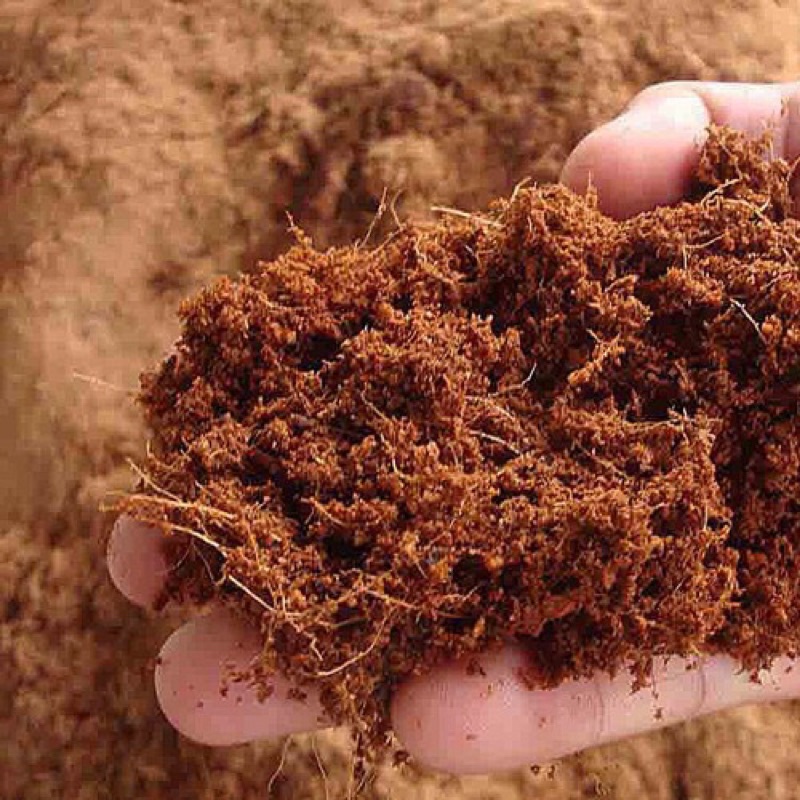 Combo 3kg mùn xơ dừa trồng rau, cây cảnh