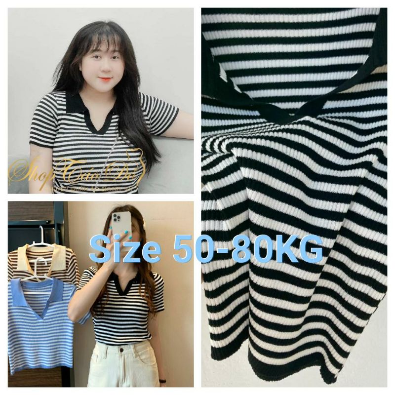 [Anh bigsize] Áo croptop sọc kẻ cổ đức 50-80KG | BigBuy360 - bigbuy360.vn