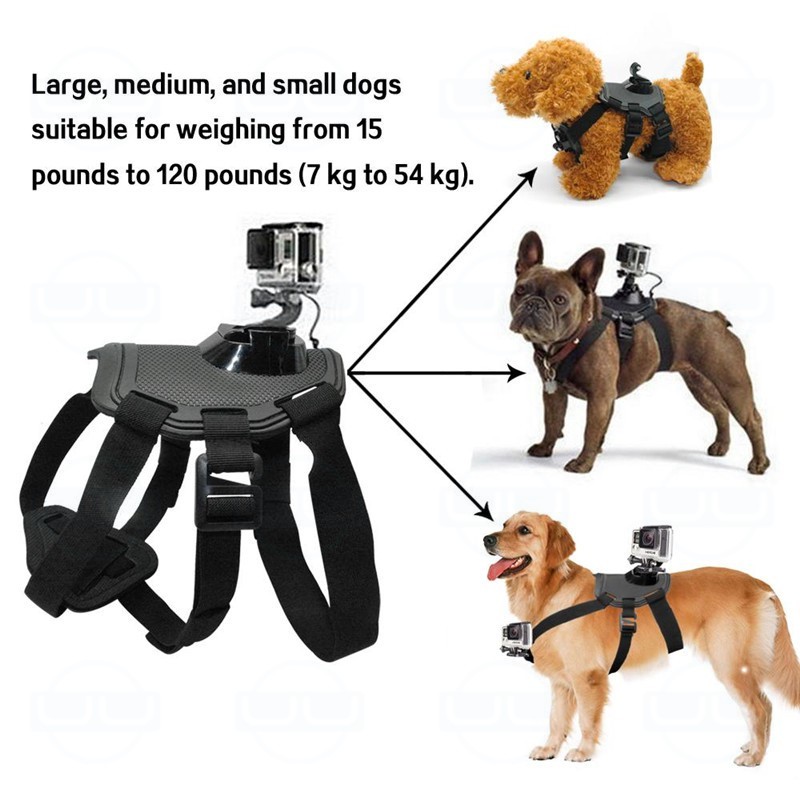 GoPro Harness Back + Chest Strap Mount for Hound Dog PET Elastic Belt Mount