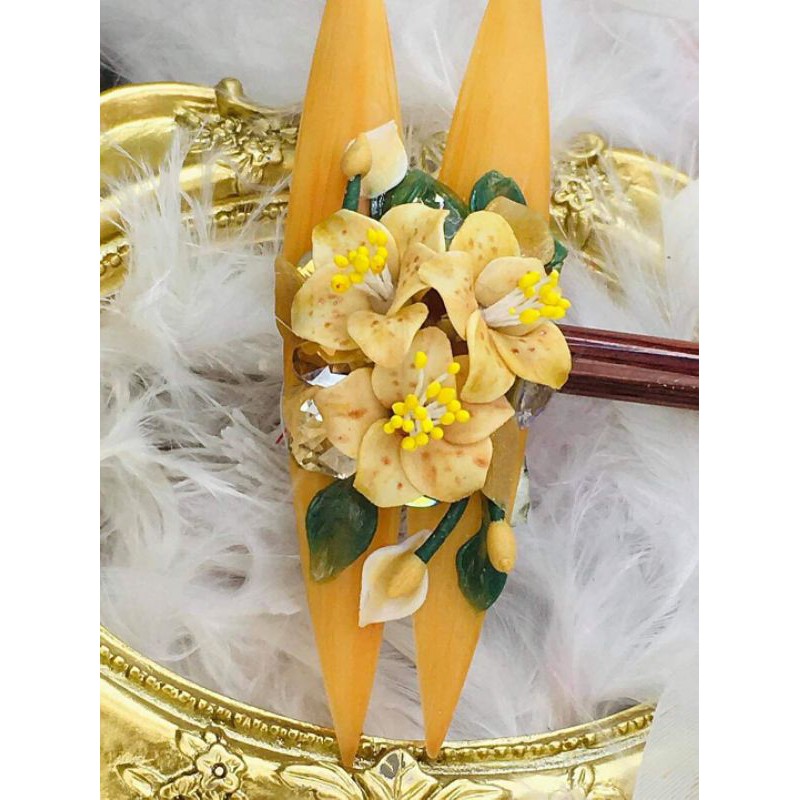 Bột Nail Set 24 hũ bột 10gram chuyên đắp hoa bột nail.