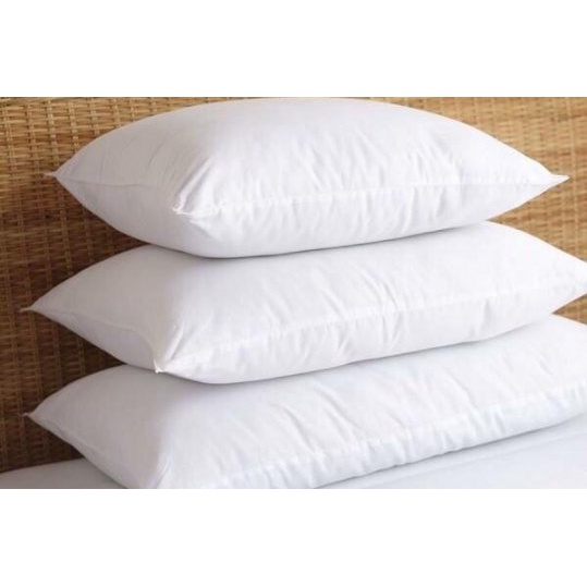 1 Ruột gối ép hơi  /  Giá Xưởng