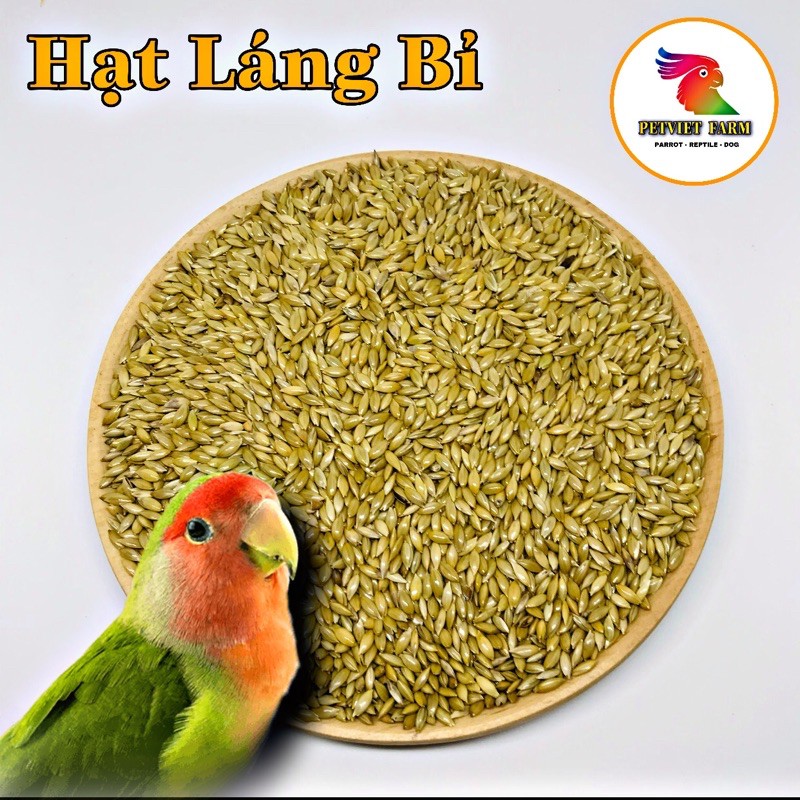 HẠT LÁNG DÀI - GÓI 1KG