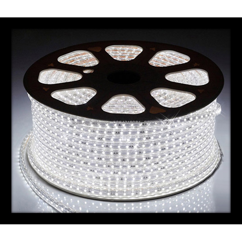 FREESHIP Đèn LED Dây 5050 Cuộn 100m + Tặng kèm 1 nguồn Tuấn Yên