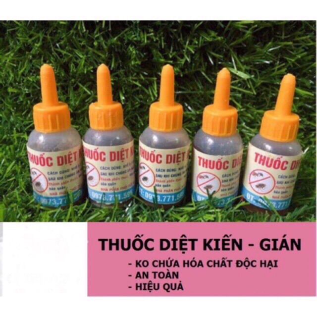 Thuốc diệt kiến dán tận gốc !!