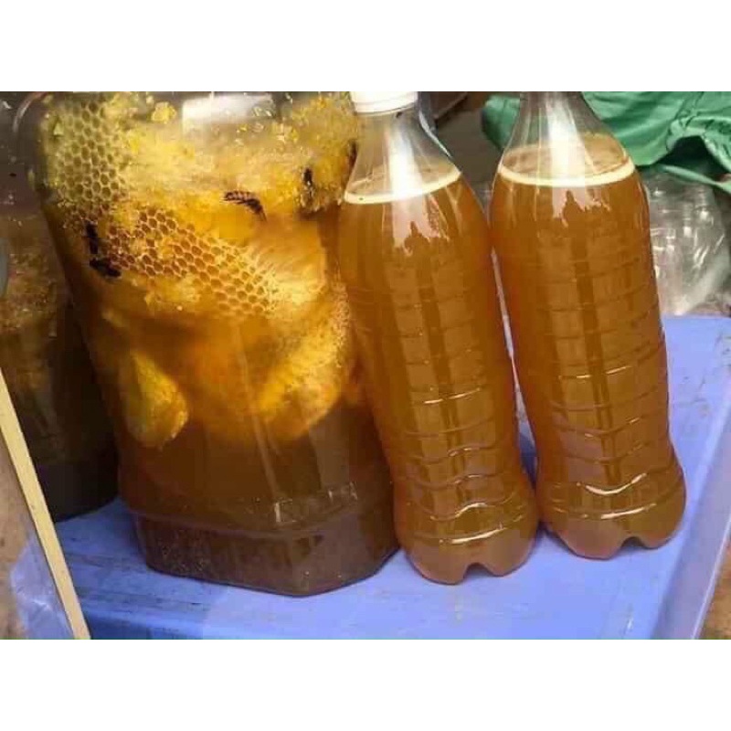 Mật Ong Rừng Lai Châu  [ Mật Chuẩn Tự Nhiên , Thơm , Đặc Quánh ]