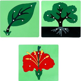 Giáo Cụ Montessori - Tranh ghép Thực Vật