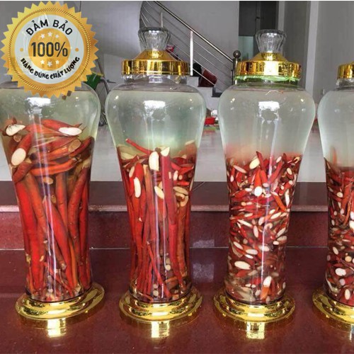 Sâm cau đỏ - Rừng Tây bắc | BigBuy360 - bigbuy360.vn