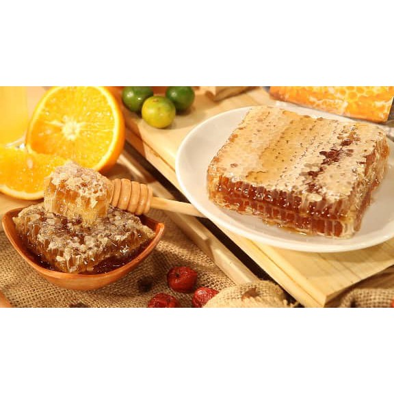 Mật ong rừng nguyên chất Bánh Tổ HONEYLAND 320g mật ong thiên nhiên nguyên chất