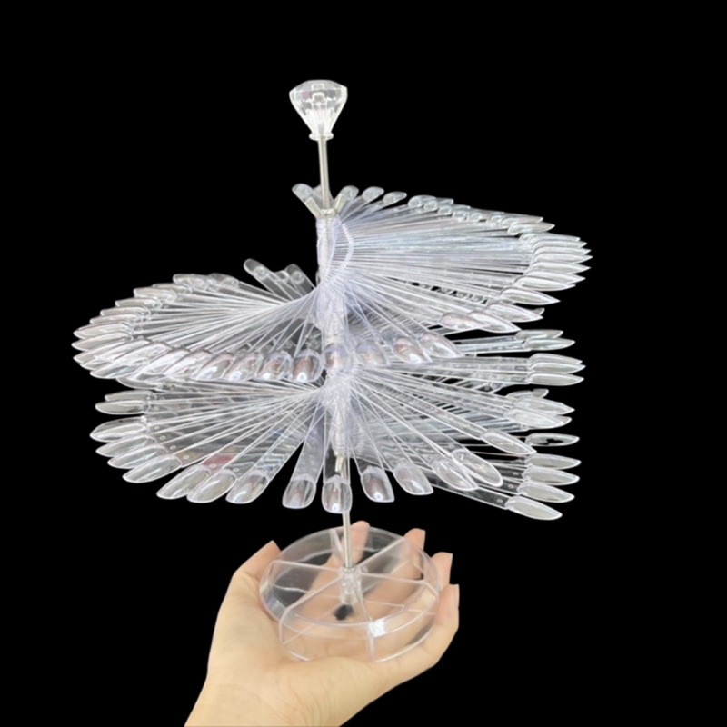 Móng cây-móng làm bảng sơn