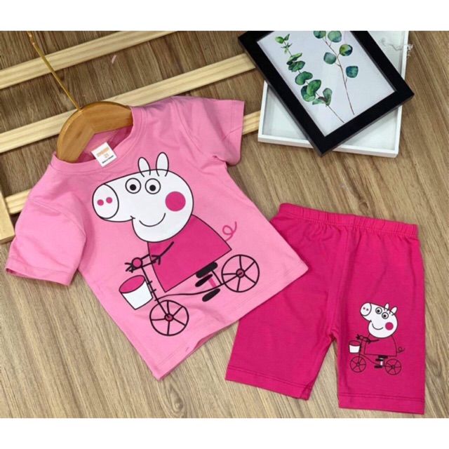 Combo 5 bộ cotton dành cho bé gai