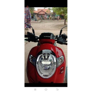 Bộ Mũ Thời Trang 2018 Dành Cho Thú Cưng