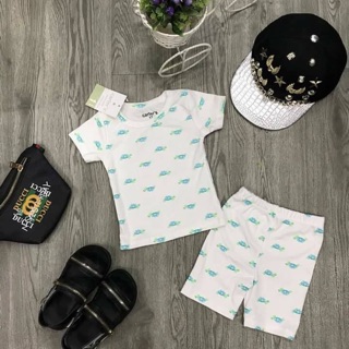 Combo bo catter 200k/4b