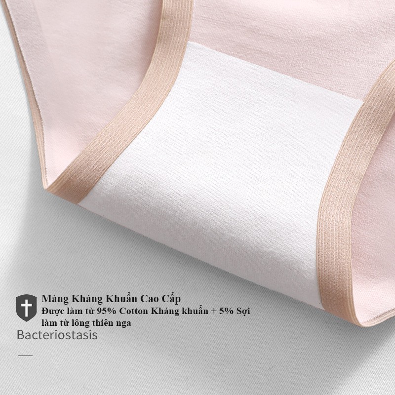 Quần lót nữ, quần lót cotton, quần chip nữ cotton kháng khuẩn QC72 | BigBuy360 - bigbuy360.vn