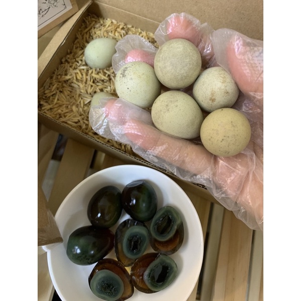 Trứng cút bắc thảo T-S