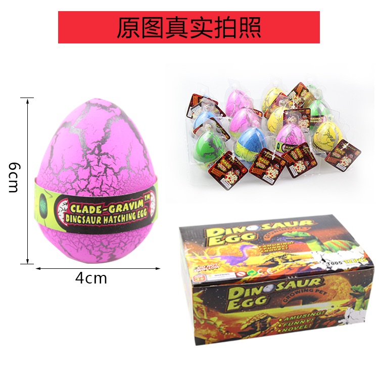 Trứng Khủng Long Ấp Nở Trong Nước, Đồ Chơi Cho Trẻ Em - Hanaworld Shop