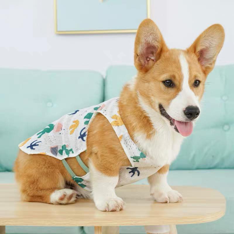 [ XẢ KHO ] áo thun croptop lộ eo cho chó mèo ( vải mỏng mát, không bám lông, không nhăn)