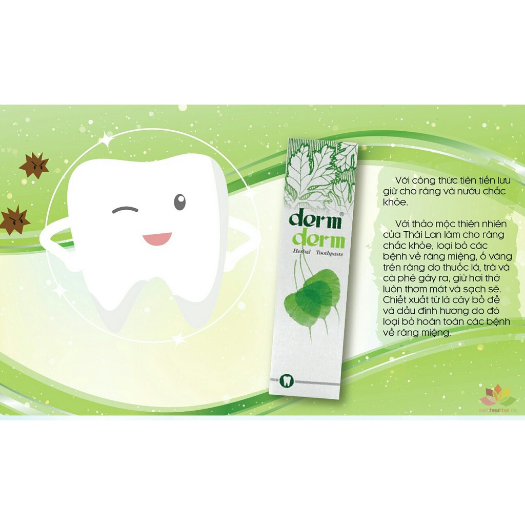 Kem Đánh Răng Thảo Dược DERM DERM 160g Thái Lan