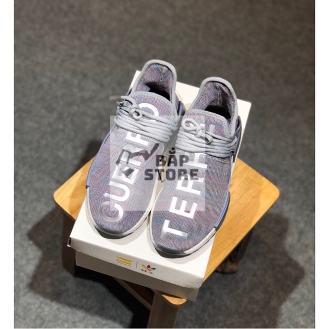 cuerpo terre human race