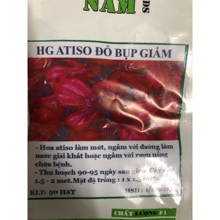 Hạt giống cây Atiso đỏ (Bụt giấm)