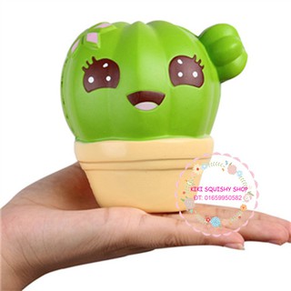 Squishy chậu xương rồng