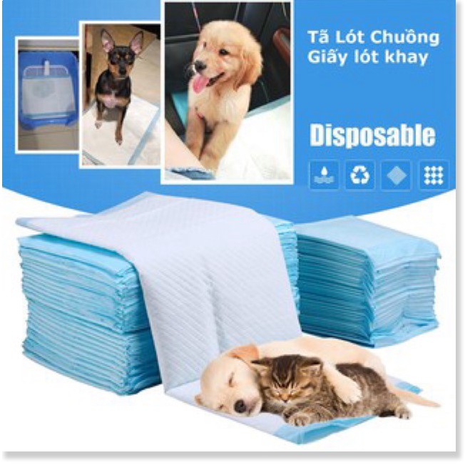 D { lẻ 1 miếng} Bỉm chó mèo dạng quần dán &amp;Tã giấy lót chuồng chất liệu giấy siêu thấm cho thú cưng