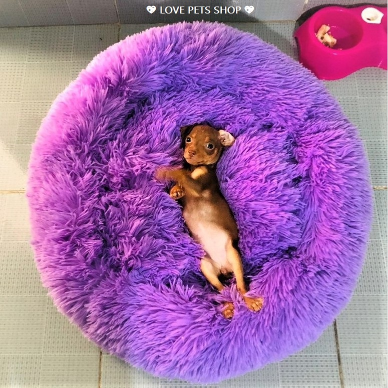 NỆM NẰM CHO CHÓ MÈO LÔNG TRÒN - LOVE PETS SHOP