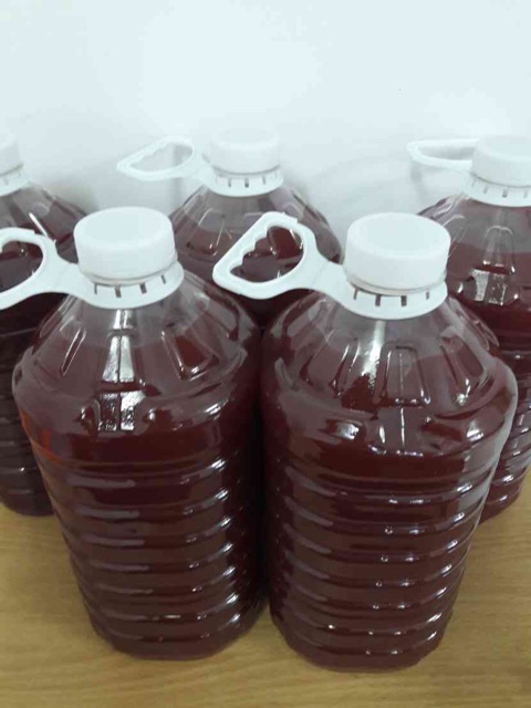 Vi khuẩn PSB xử lý nước trong hồ cá.