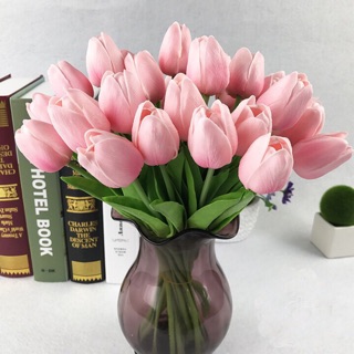 Hoa tulip đủ màu