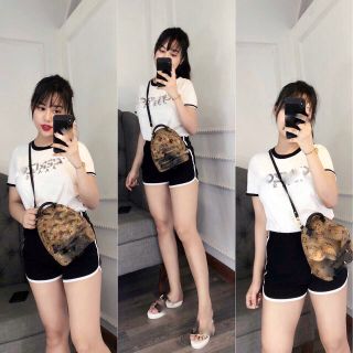 Set bộ thể thao