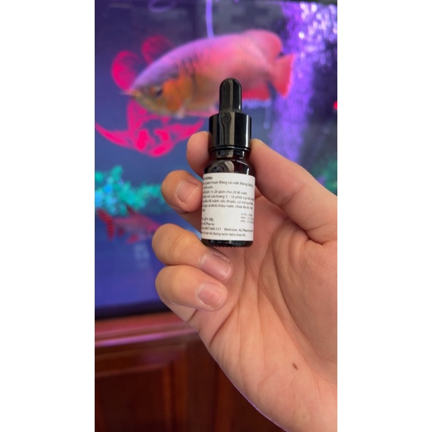 Dung dịch gây mê cá koi, cá rồng, la hán, cá vàng ACPharno