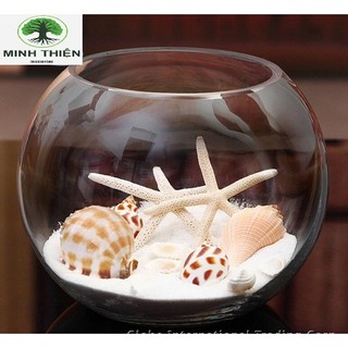 Bể Cá Thủy Tinh Chậu Cây 17cm x 13cm  -  T11