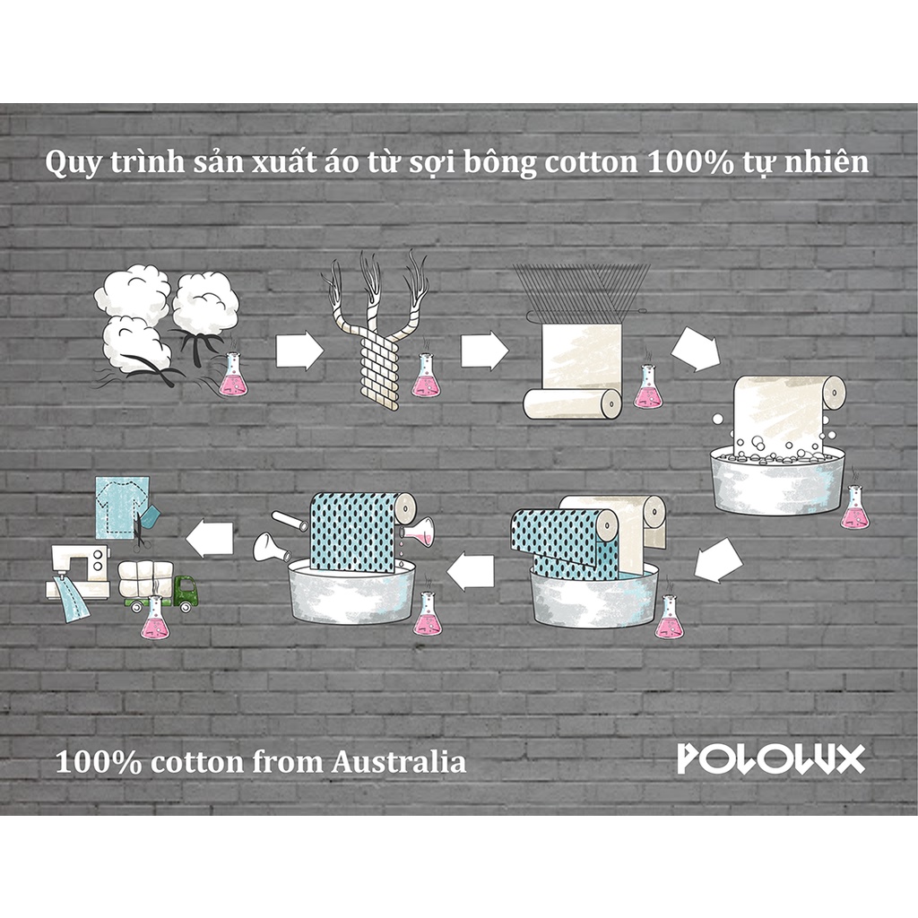 Áo thun nam 100% cotton Australia hiệu POLOLUX | BigBuy360 - bigbuy360.vn